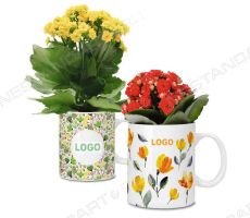 Живые цветы в керамических кружках с логотипом
